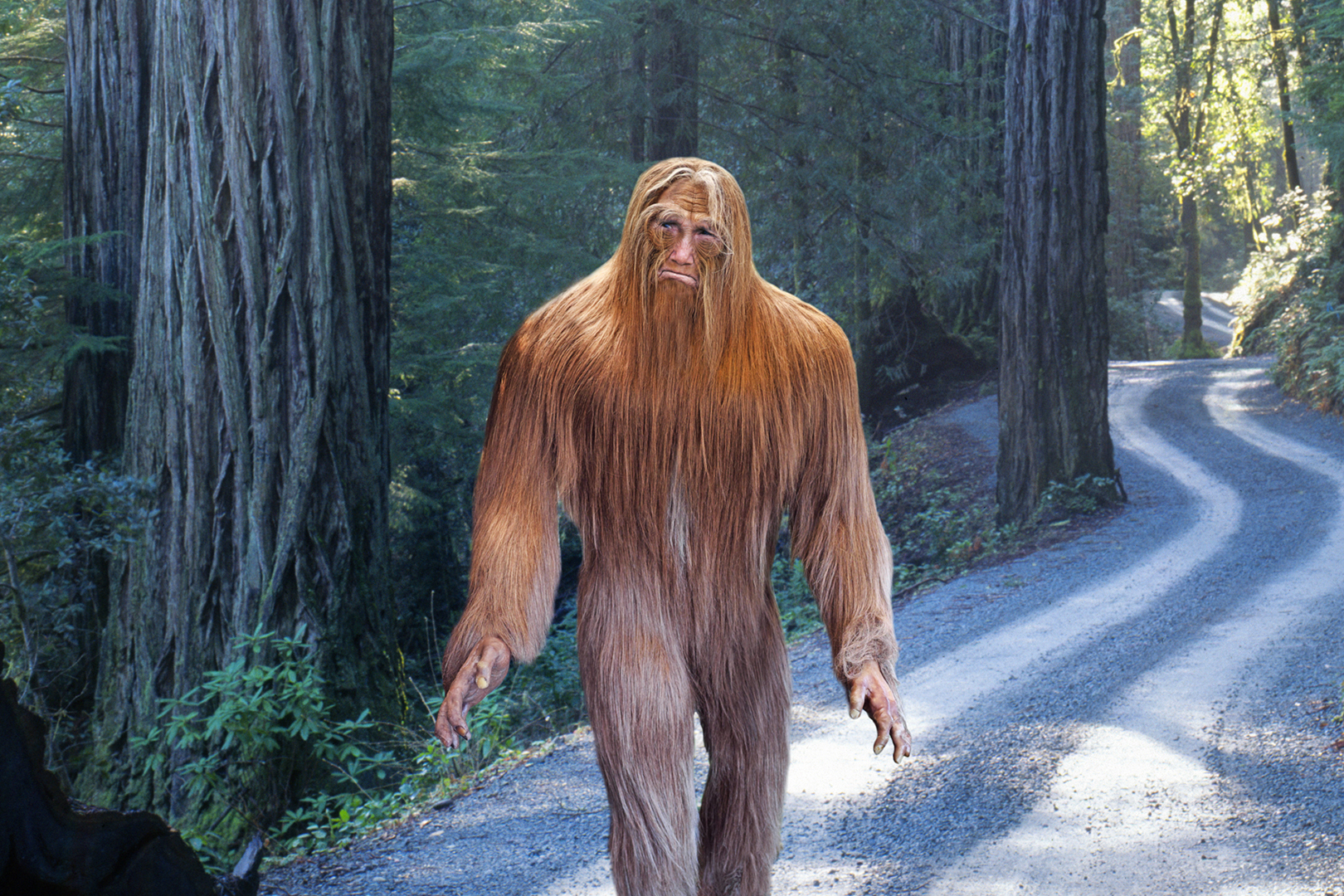 Bigfoot: Apakah Ada Dasar Sejarah untuk Makhluk Ini?