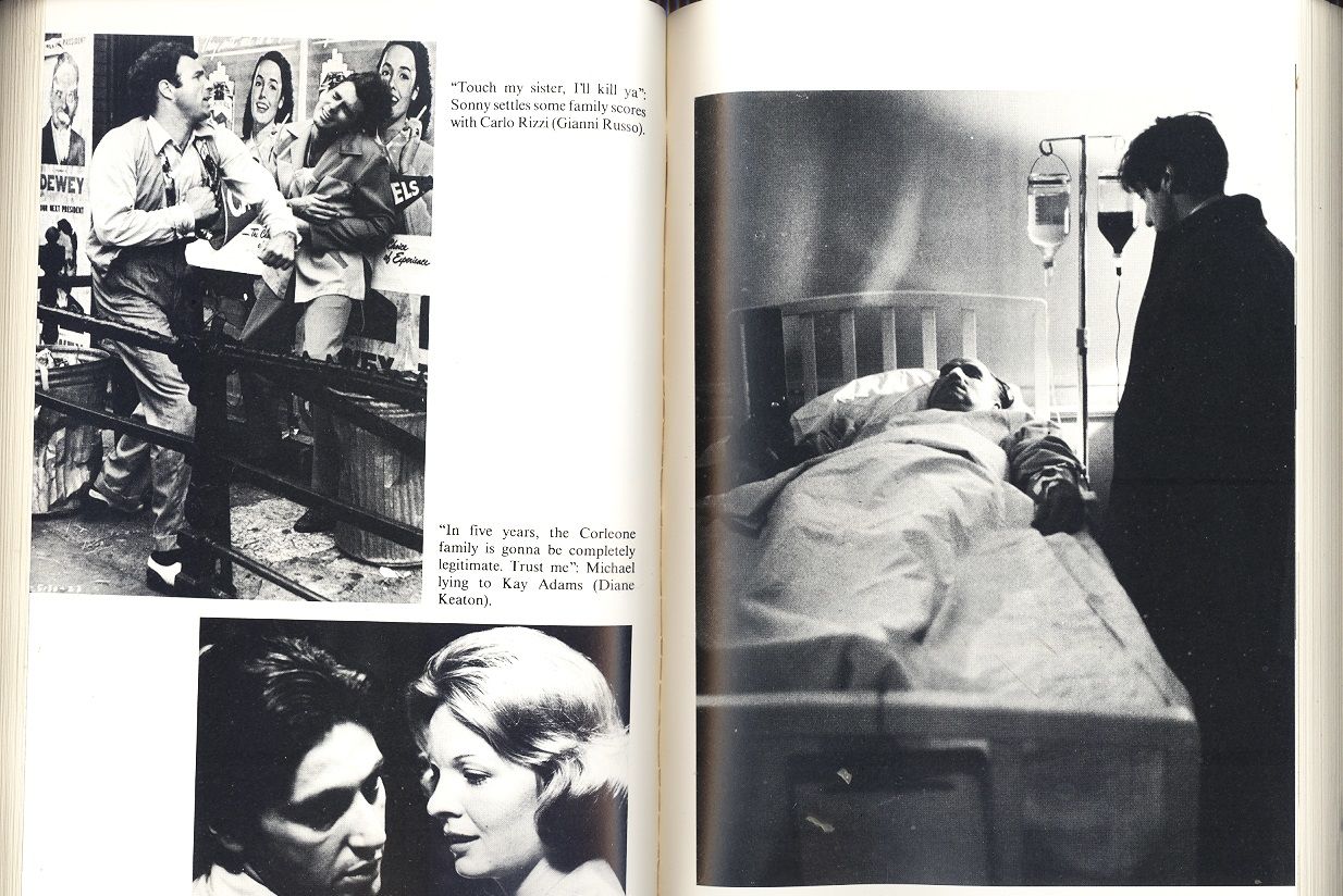 The Godfather Companion