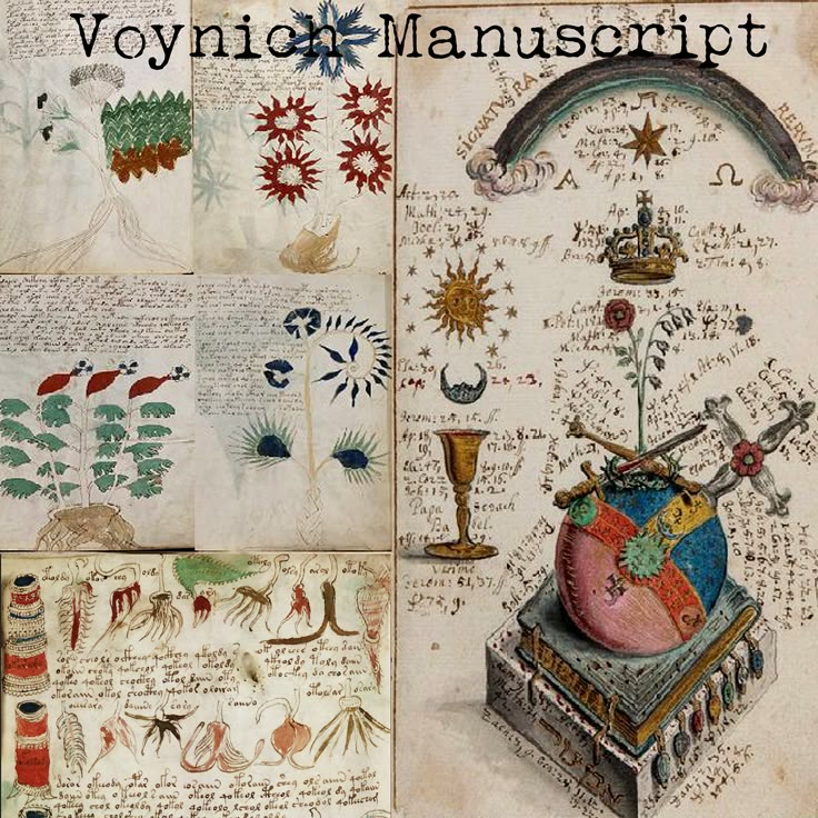 THE VOYNICH MANUSCRIPT